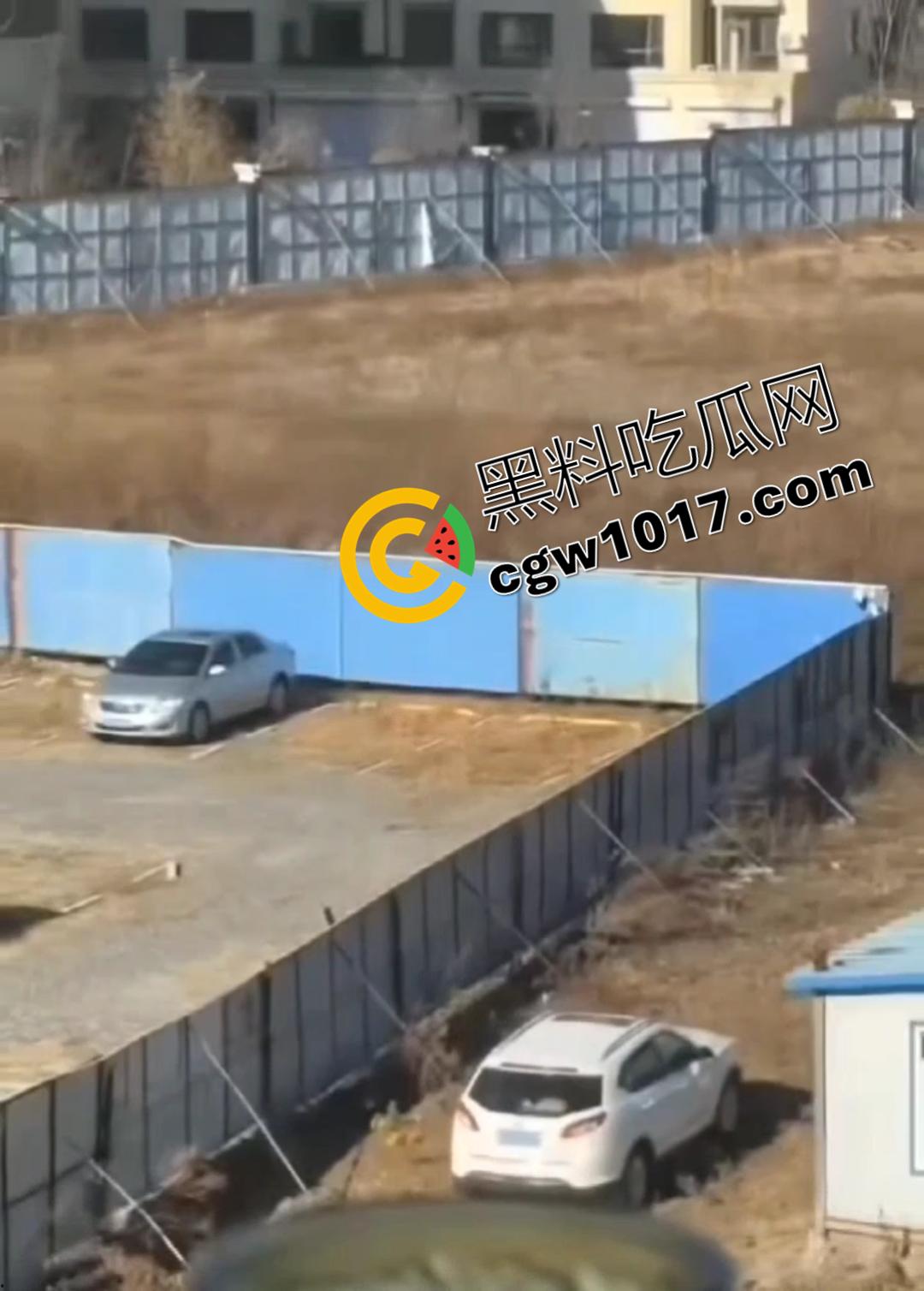 辽源市的吉DR3855 野外车震完整曝光！大屁股后入白嫩晃眼，车主直接社死全国！  第3张