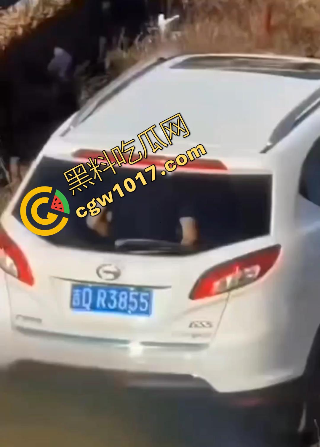 辽源市的吉DR3855 野外车震完整曝光！大屁股后入白嫩晃眼，车主直接社死全国！  第1张