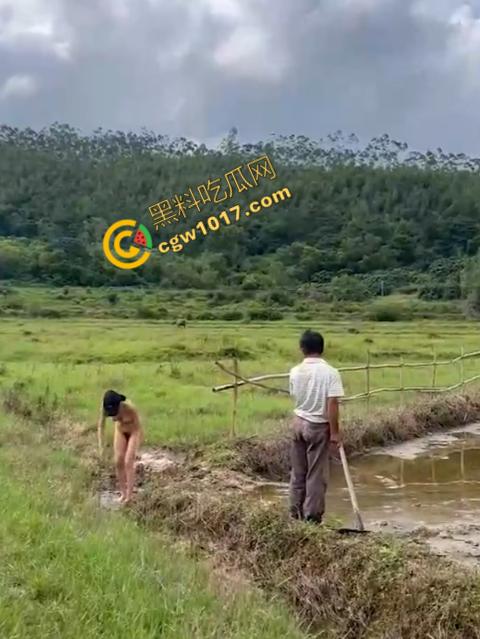 极品尤物CikaiMoon大尺度暴露！穿越稻田，酮体迷人，巨波荡漾，翘臀蹦跳，农民伯伯纷纷回眸，欲火中烧！  第11张