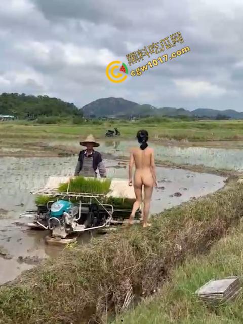 极品尤物CikaiMoon大尺度暴露！穿越稻田，酮体迷人，巨波荡漾，翘臀蹦跳，农民伯伯纷纷回眸，欲火中烧！  第13张