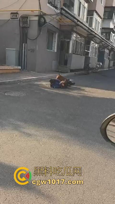 人狗街头大战！比特撕咬绝望老登，撕咬了一会主人拦开，狗子越想越气再次扑咬，不是路上这么多人就合着要这老头呗！  第1张