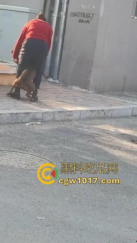 人狗街头大战！比特撕咬绝望老登，撕咬了一会主人拦开，狗子越想越气再次扑咬，不是路上这么多人就合着要这老头呗！  第4张