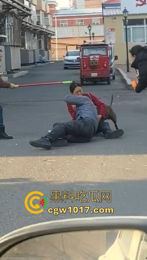 人狗街头大战！比特撕咬绝望老登，撕咬了一会主人拦开，狗子越想越气再次扑咬，不是路上这么多人就合着要这老头呗！  第8张