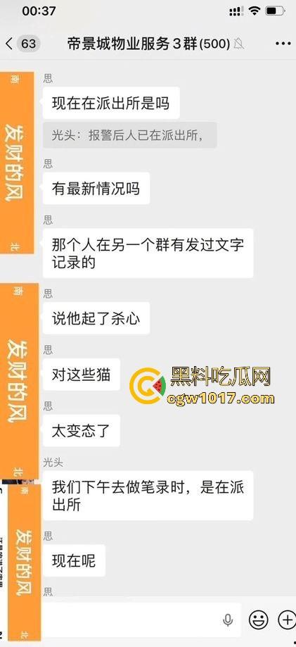 广东揭阳缔景城小区有人虐猫，深夜拿弓箭弓弩射小区小猫咪，在小区乱射箭，如入无人之境，今天敢射猫明天就敢射人！  第3张