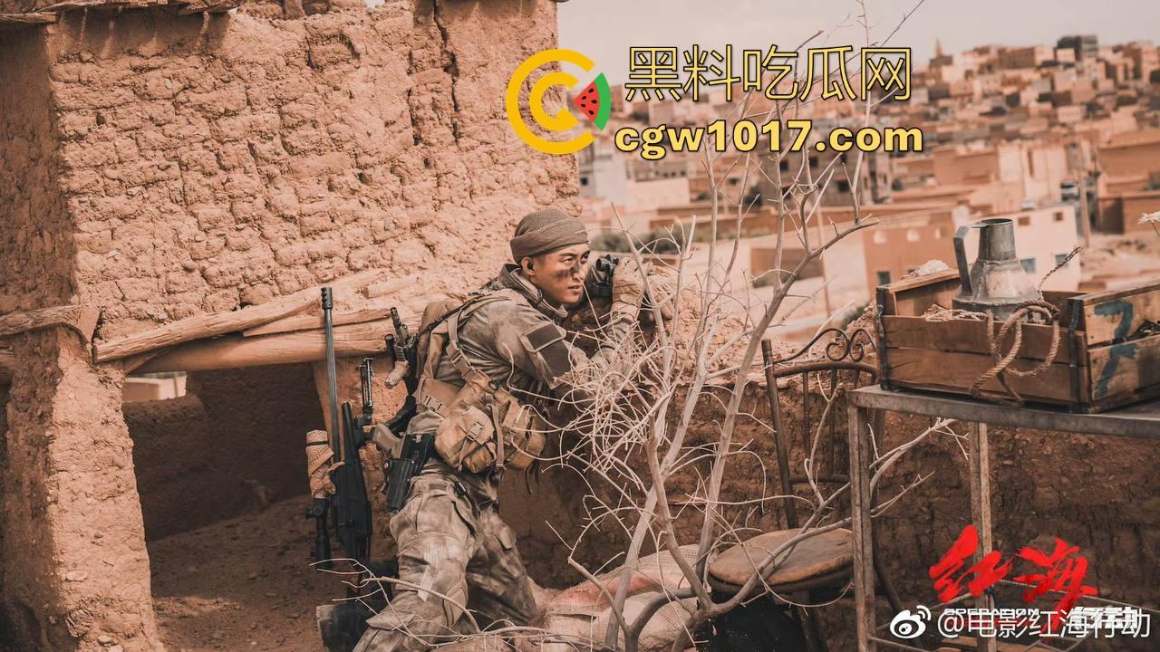 春节档的票房黑马【红海行动】以真实残酷的战争场面、紧凑的节奏和群像式人物塑造，成为中国军事动作片的标杆之作！  第3张