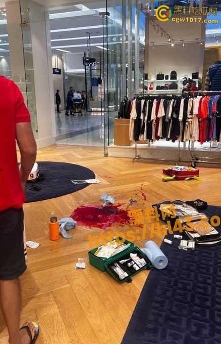 澳大利亚悉尼购物广场，发生无差别持刀砍人事件，网传现场30多人被刺，商场都是尸体多人死亡 ！  第5张