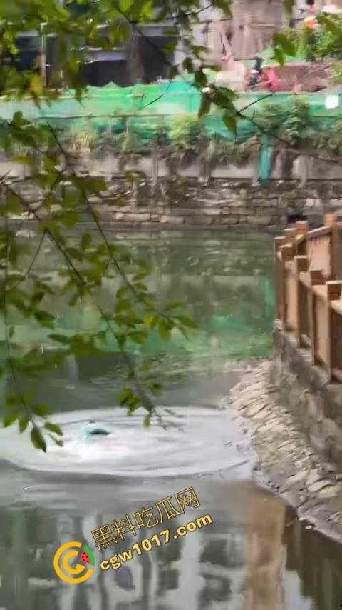 重庆湖边惊魂：绝望女子跳湖，勇敢路人生死救美，惊险拯救，揪心一刻，心跳加速，惊险刺激！  第4张