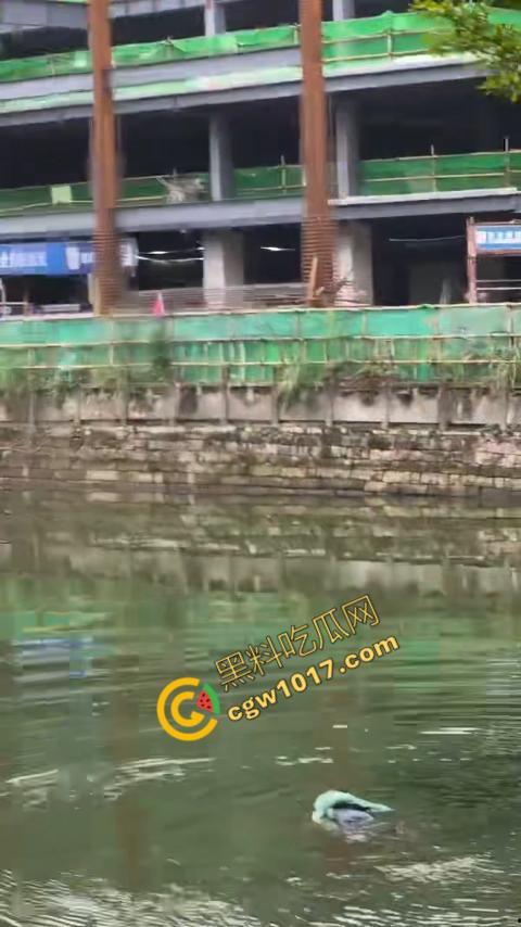 重庆湖边惊魂：绝望女子跳湖，勇敢路人生死救美，惊险拯救，揪心一刻，心跳加速，惊险刺激！  第5张