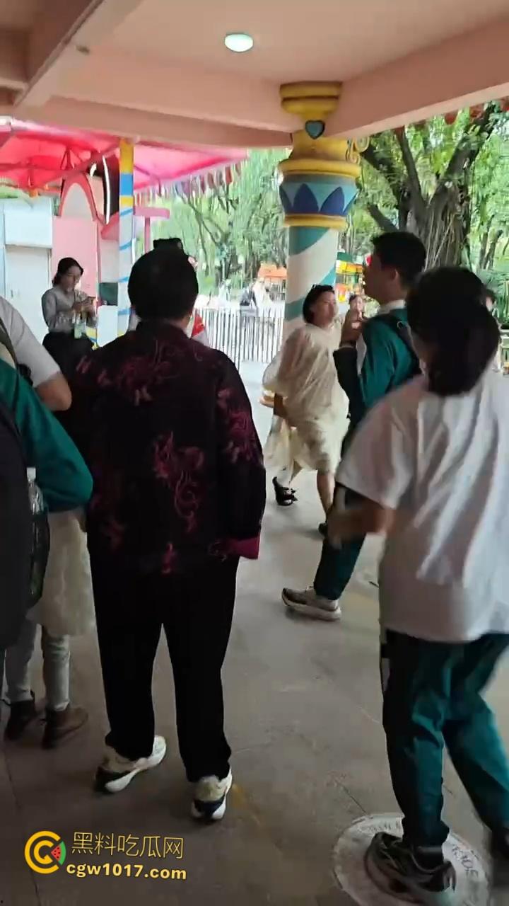 广州长隆野生动物园，长裙美女为狗大闹，不听劝阻当街闹事，怒砸玩具车扔路人，最终被安保人员请出 ！  第4张