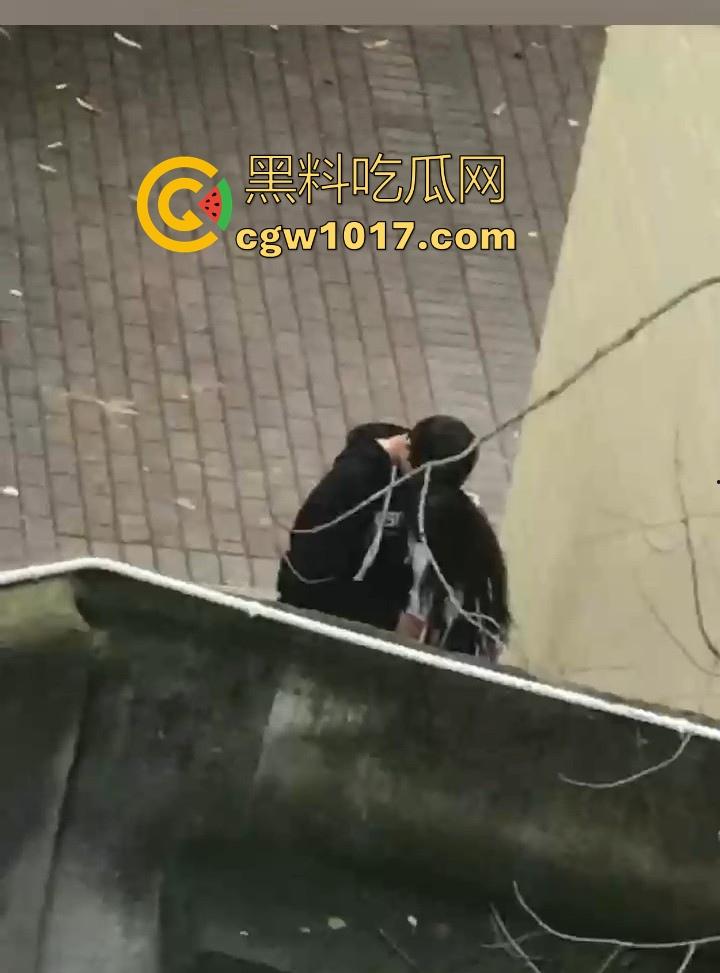 湖南师范大学宿舍角落小情侣偷情，我扣你的逼 你撸我的鸡，激情四射啊！熟悉的角落，熟悉的人，熟悉的动作！  第6张