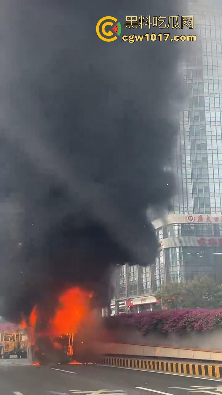 广东佛山季华园隧道口公交车发生自燃，现场浓烟滚滚，火势极其的大，具体自燃原因还待查明！  第7张