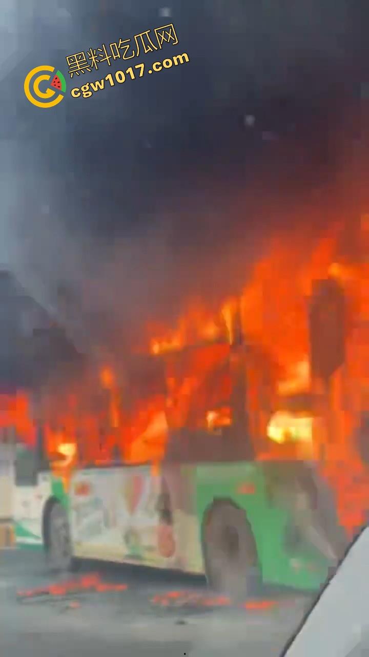 广东佛山季华园隧道口公交车发生自燃，现场浓烟滚滚，火势极其的大，具体自燃原因还待查明！  第8张