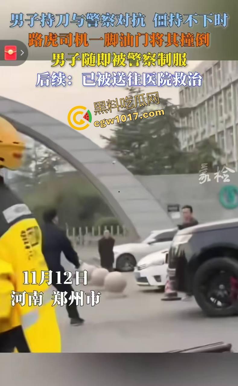 大型纪录片【路虎宣传片】持续为你播出，路虎大哥见义勇为撞翻持刀男子，后退瞄准机会就撞上去，难怪你能开路虎！  第4张