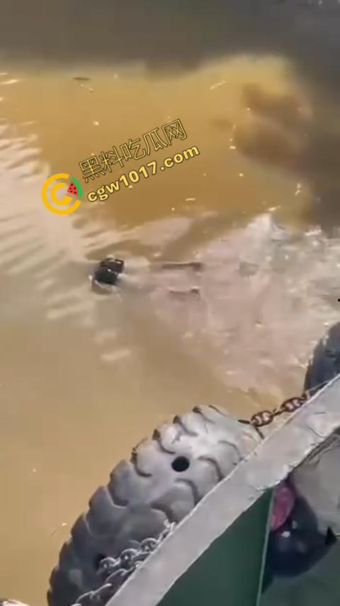 男子野泳惨遭鳄鱼袭击，身体被肆意撕裂，尸体血肉模糊，搜救队惊惧地目睹这惨绝人寰的一幕  第6张