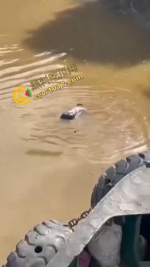 男子野泳惨遭鳄鱼袭击，身体被肆意撕裂，尸体血肉模糊，搜救队惊惧地目睹这惨绝人寰的一幕  第8张