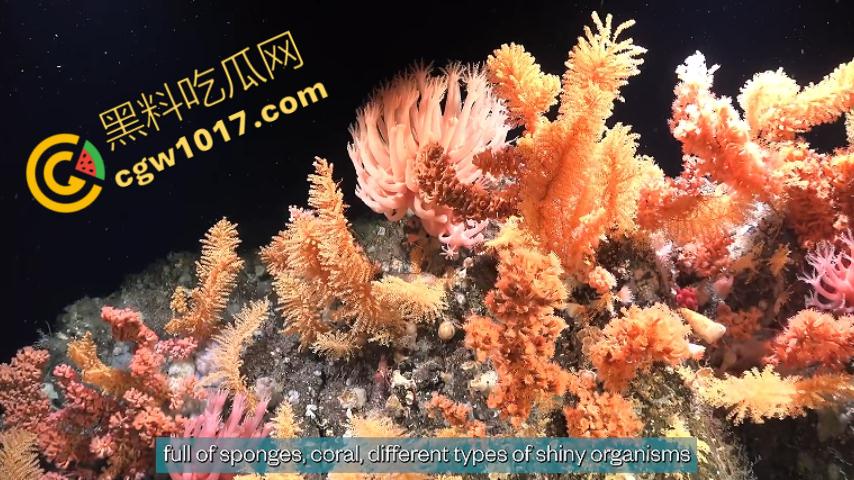 南极科考内部视频劲爆流出：30种未知致命生物！从“死亡之球”到“僵尸蠕虫”，史前病毒横行，足以令人毛骨悚然！  第11张