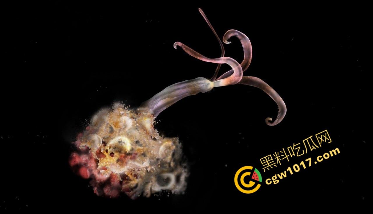 南极科考内部视频劲爆流出：30种未知致命生物！从“死亡之球”到“僵尸蠕虫”，史前病毒横行，足以令人毛骨悚然！  第5张