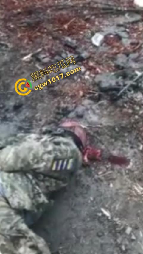 恐怖慎入：战俘被残虐致死内部视频曝光：耳朵，阴茎被残忍收割，现场画面血腥暴力，胆小这勿入！  第9张