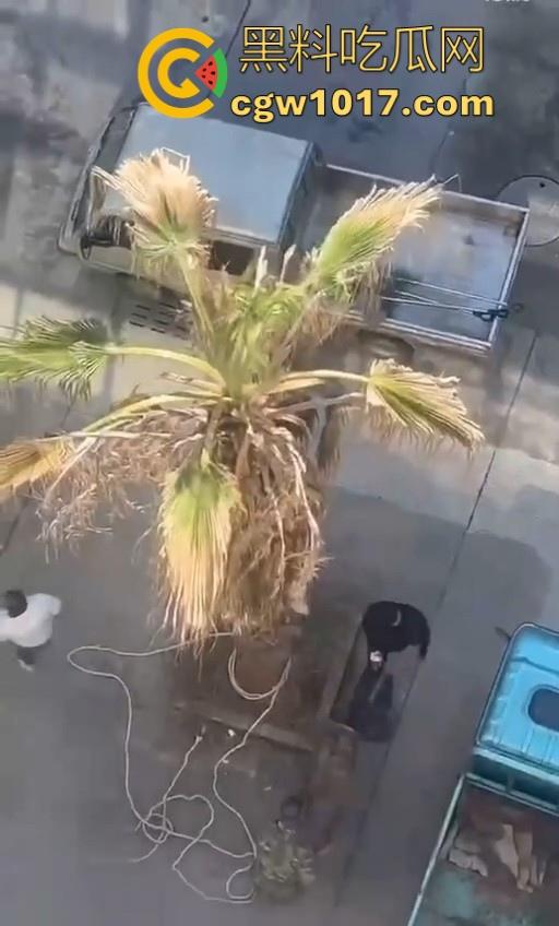 七年老狗反咬主人，不是虐待就突然发疯，满脸都是血，大型狗真恐怖，随后安排处死，这时候爱狗人士怎么不说话了！  第8张