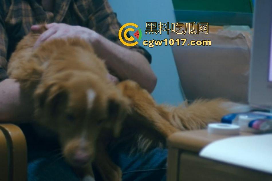 电影【好狗狗】，乡下老宅鬼影幢幢印第狂吠撕咬恶灵，邻居猎人装妖魔潜伏，忠犬搏命救主，真是条好狗狗！  第4张