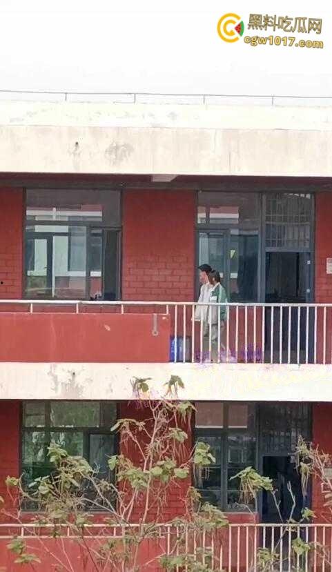 宁夏银川永宁回民高级中学，高一情侣午休时间楼梯间打炮，趴在窗户上无套后入，小小年纪如此大胆了  第2张