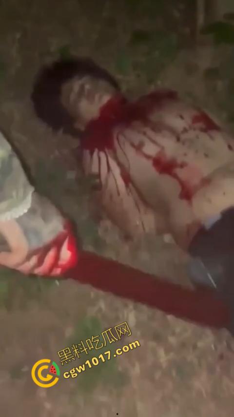 惊悚巴西雨林：鲜血四溅，砍喉视频引发恐慌，暴力画面惊骇世人，血腥场面令人喘不过气！  第9张