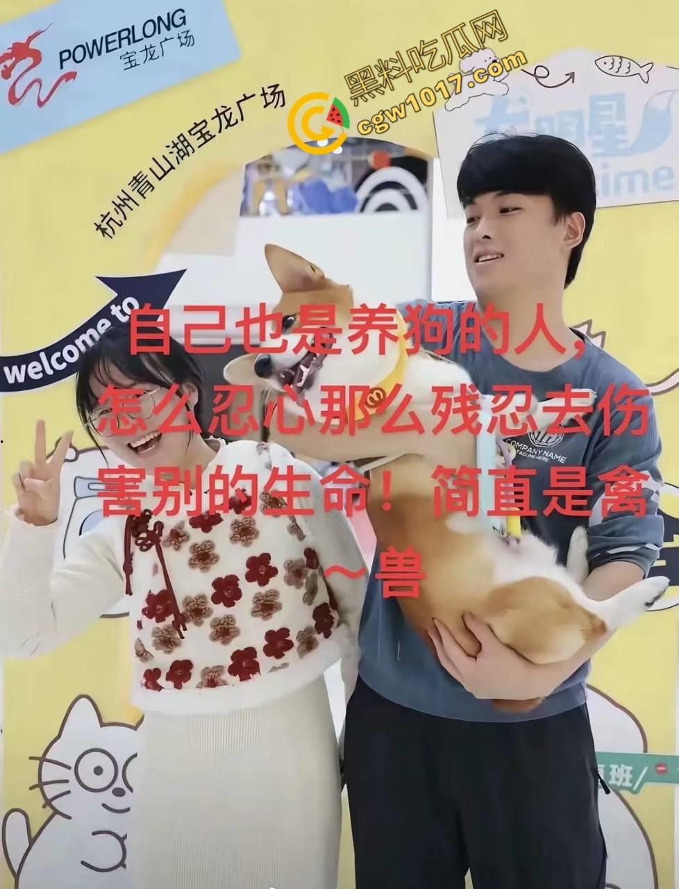 浙江狂暴男子街头暴力虐狗事件火遍全网：血腥场面令人震撼，马犬惨叫声震撼人心，引发全民怒吼！  第1张