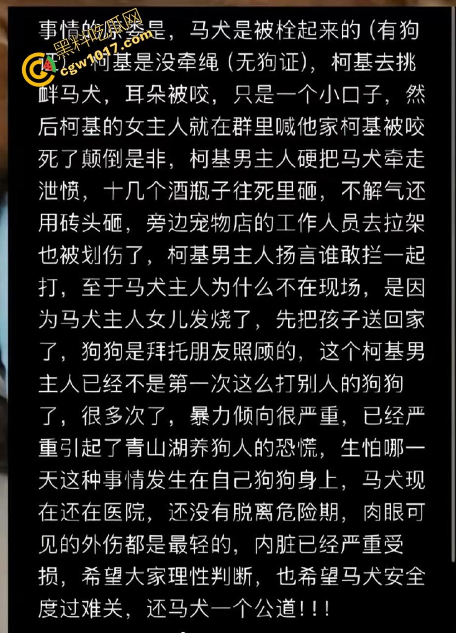 浙江狂暴男子街头暴力虐狗事件火遍全网：血腥场面令人震撼，马犬惨叫声震撼人心，引发全民怒吼！  第2张
