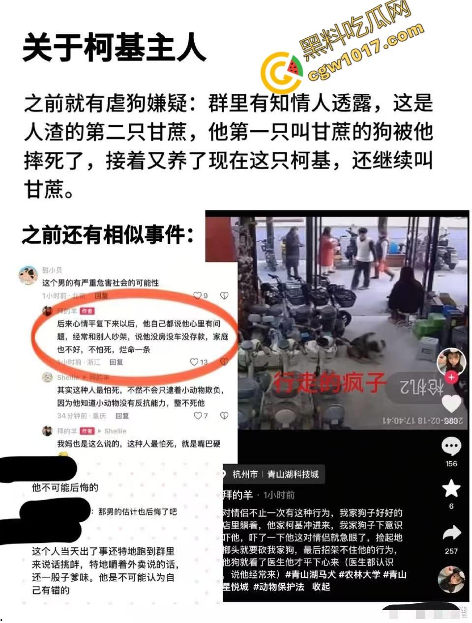 浙江狂暴男子街头暴力虐狗事件火遍全网：血腥场面令人震撼，马犬惨叫声震撼人心，引发全民怒吼！  第3张