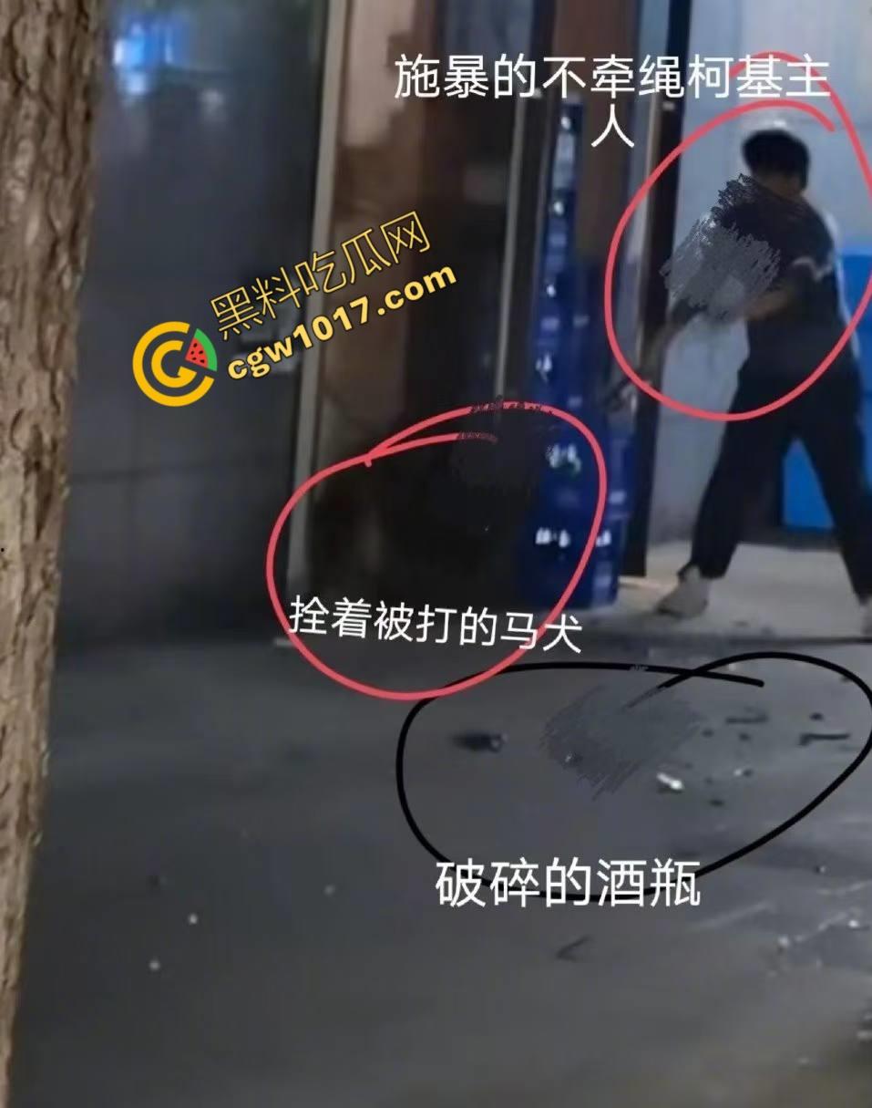 浙江狂暴男子街头暴力虐狗事件火遍全网：血腥场面令人震撼，马犬惨叫声震撼人心，引发全民怒吼！  第7张