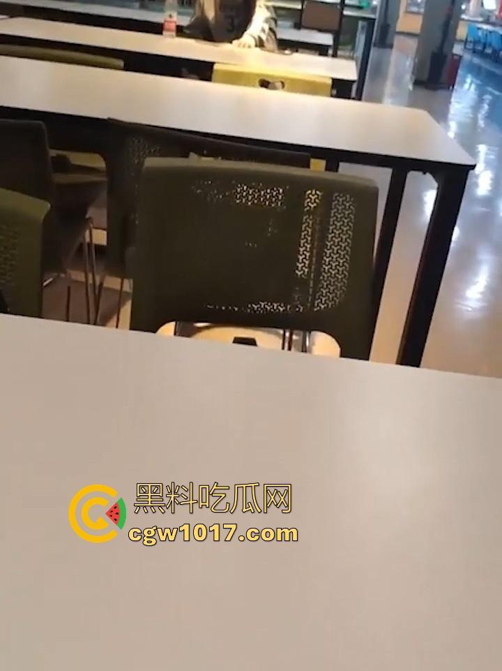 餐厅内情侣大胆玩抠逼，妹子表情扭曲高潮，全自动骑乘榨精，从娇羞到高潮喷潮，合着我们都是你们pay中的一环呗！  第7张