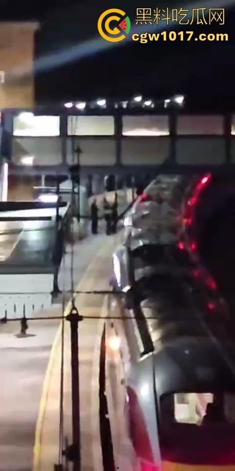 英国一火车发生持刀行凶事件！有多人被送往医院治疗，已有两人被警方逮捕，现场围满了警察像拍电影一样！  第5张