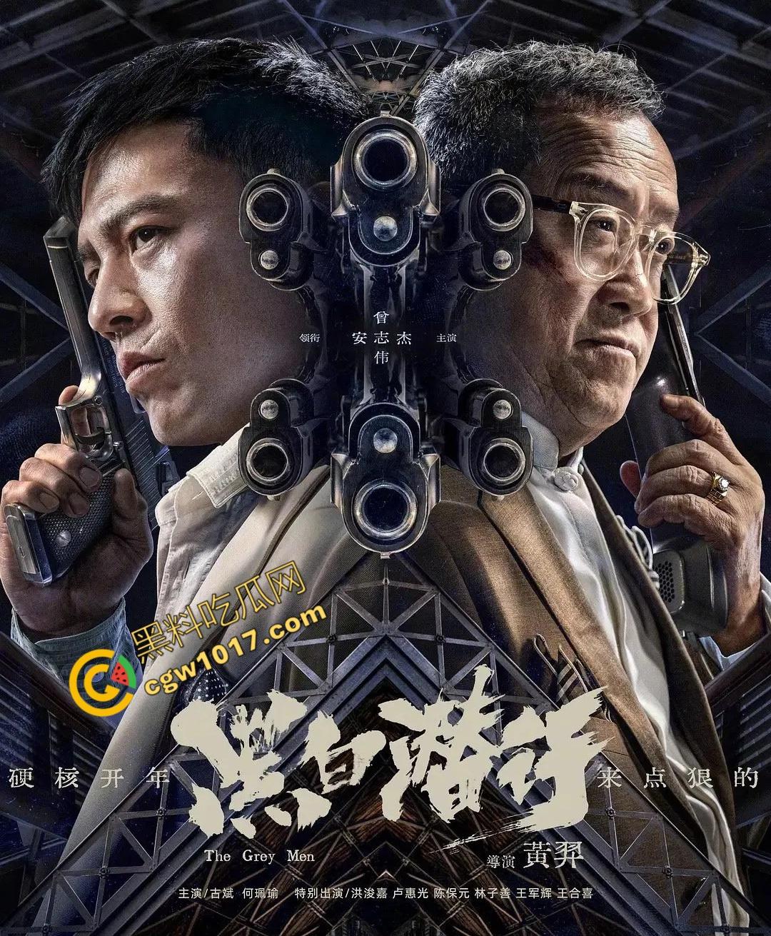 香港经典动作冒险电影《黑白潜行》：黑暗潜伏，精彩打斗，香港黑帮的血腥赌注！  第2张