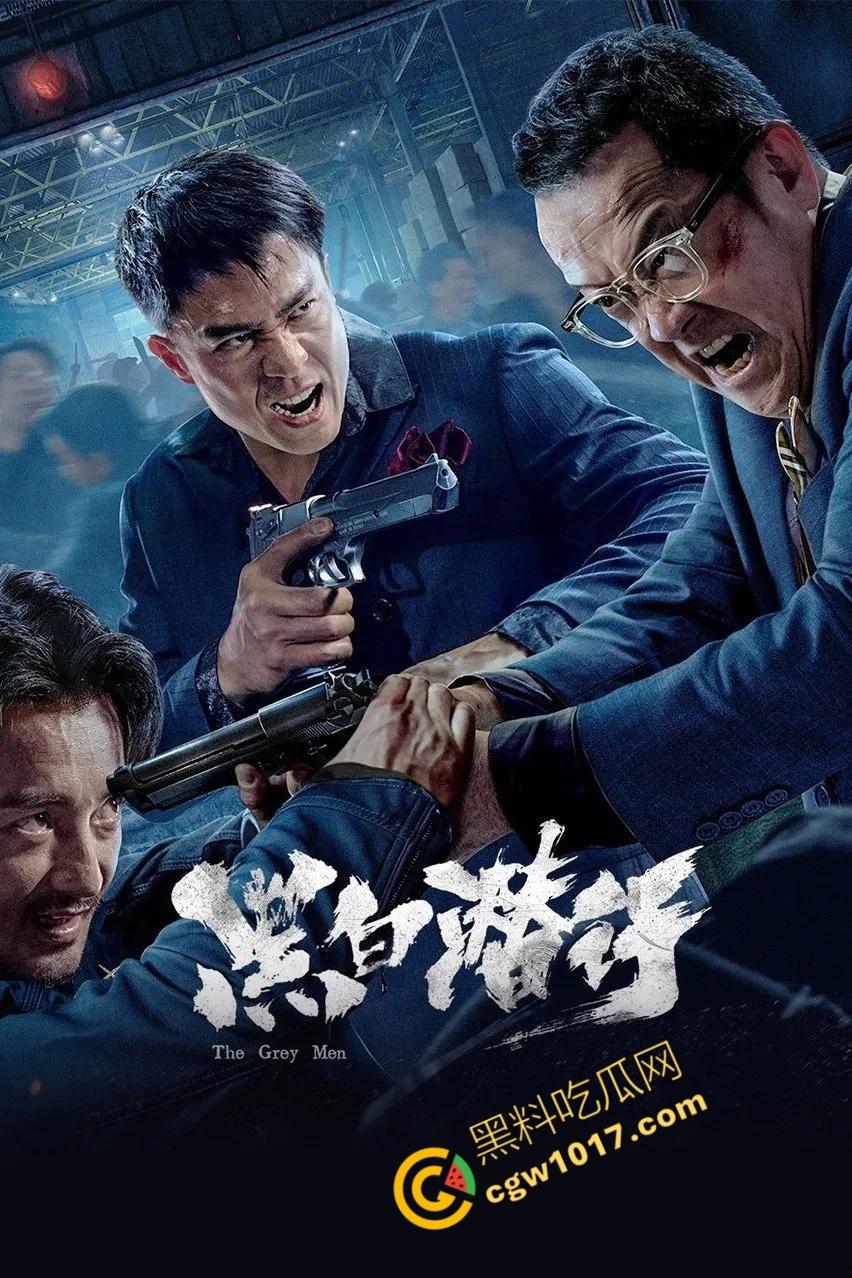 香港经典动作冒险电影《黑白潜行》：黑暗潜伏，精彩打斗，香港黑帮的血腥赌注！  第3张