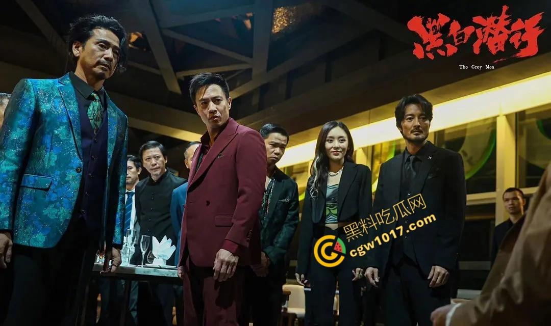 香港经典动作冒险电影《黑白潜行》：黑暗潜伏，精彩打斗，香港黑帮的血腥赌注！  第5张