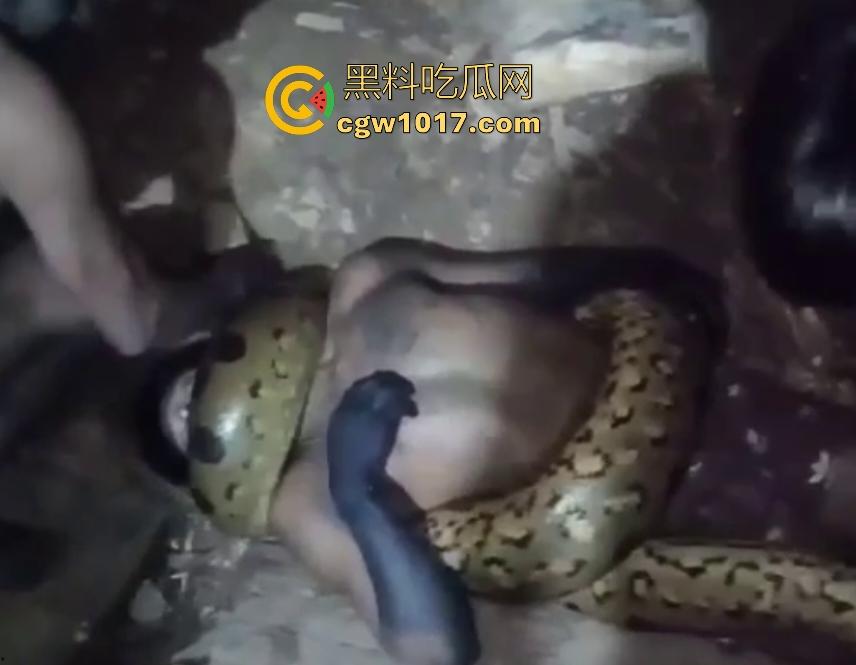 印度醉汉被巨蟒缠绕绞杀，骨骼咔咔断裂脸黑如炭，俩亲兄弟把蟒蛇抬走说喝点恒河水能活，这都黑了还能救？  第3张