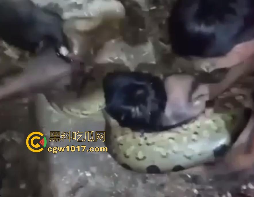 印度醉汉被巨蟒缠绕绞杀，骨骼咔咔断裂脸黑如炭，俩亲兄弟把蟒蛇抬走说喝点恒河水能活，这都黑了还能救？  第6张