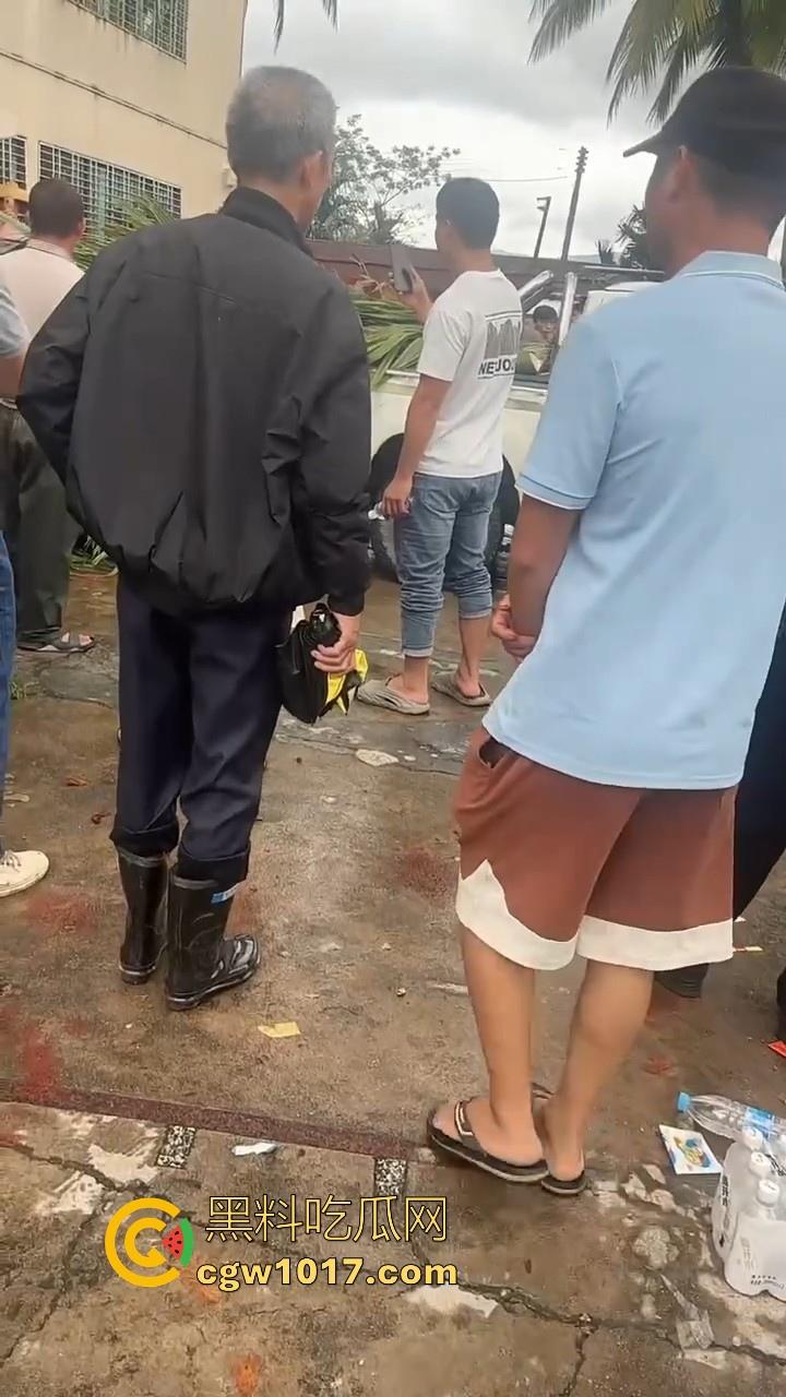 海南琼中爆发大规模群体抗争！因海南天然橡胶产业集团偷砍农民的槟榔田爆发，现场的农民们情绪机动！  第7张