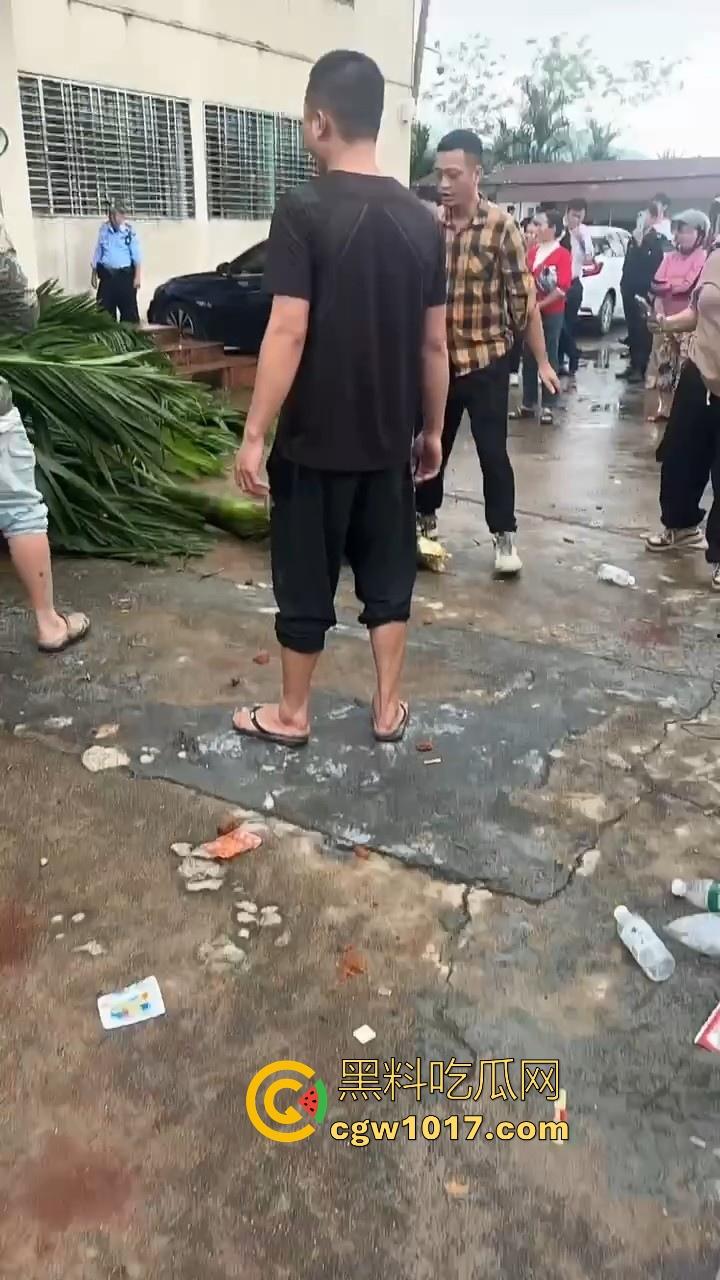 海南琼中爆发大规模群体抗争！因海南天然橡胶产业集团偷砍农民的槟榔田爆发，现场的农民们情绪机动！  第9张