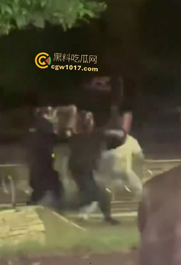 达州街头“刀皇”用菜刀袭警，小冲突变警匪大戏，警车撞击刀皇还能立马站起来，女友抱腿才能制服，太牛逼了！  第3张