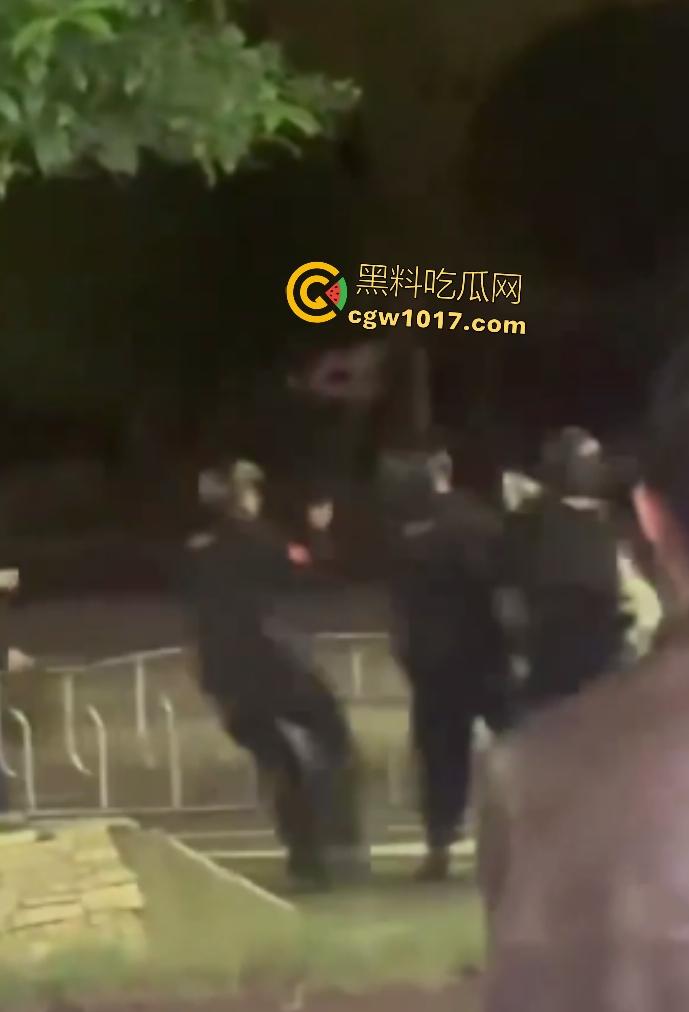 达州街头“刀皇”用菜刀袭警，小冲突变警匪大戏，警车撞击刀皇还能立马站起来，女友抱腿才能制服，太牛逼了！  第4张