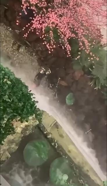 西安赛格跳楼事件 一女子从赛格 7 层坠入负二层 疑似与老公吵架一时想不开  第3张