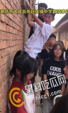 校园欺凌！河北廊坊大城县南赵扶镇某中学 几十个学生起哄狂扇女生耳光 可怜的女生只能缩在墙边任人宰割  第4张