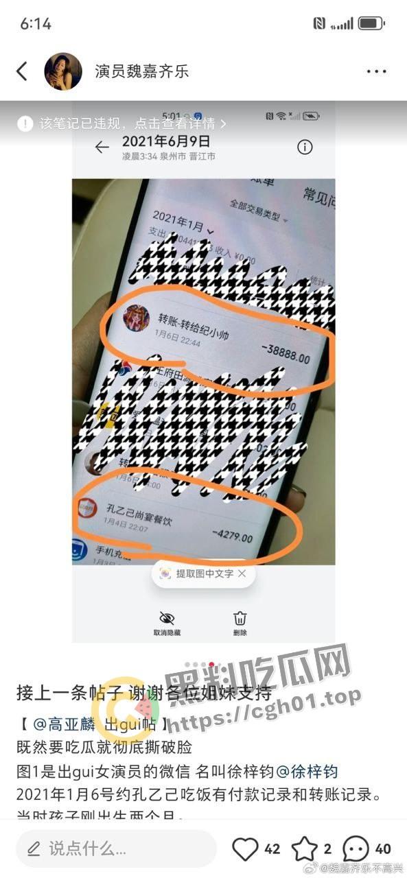 家有儿女【夏东海】出轨！扮演者【高亚麟】被妻子实锤出轨家暴  未删减实锤证据流出 第4张