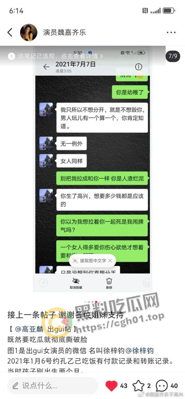 家有儿女【夏东海】出轨！扮演者【高亚麟】被妻子实锤出轨家暴  未删减实锤证据流出 第6张