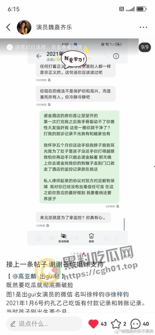 家有儿女【夏东海】出轨！扮演者【高亚麟】被妻子实锤出轨家暴  未删减实锤证据流出 第8张