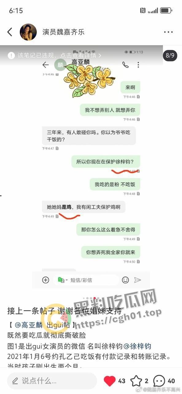 家有儿女【夏东海】出轨！扮演者【高亚麟】被妻子实锤出轨家暴  未删减实锤证据流出 第9张