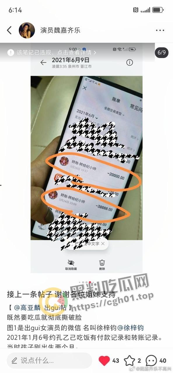 家有儿女【夏东海】出轨！扮演者【高亚麟】被妻子实锤出轨家暴  未删减实锤证据流出 第12张