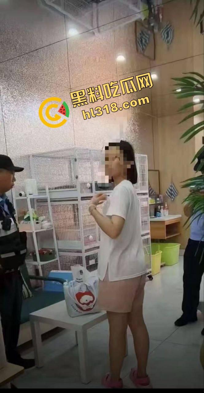 沈阳猫咖惊现女魔头虐猫狂魔，4只奶猫惨死2只重伤，老板怒曝监控报警，宠物圈集体避雷！  第7张