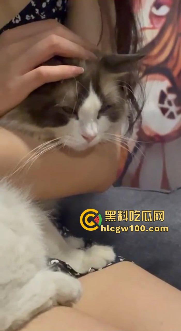 佛山猫系小姐姐【孙怡婷】被爆，瓜友送猫追到手，谈恋爱装恩爱，背后却偷偷投稿绿帽癖事，这骚操作属实玩到离谱！  第8张